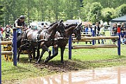 06_IMG_0134
