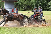 06_IMG_0142