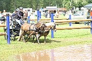10_E_IMG_0010