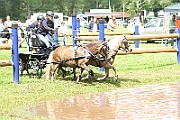 10_E_IMG_0011