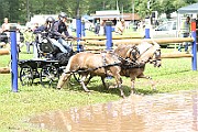 10_E_IMG_0012