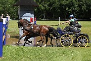10_E_IMG_0019