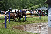 10_E_IMG_0021