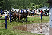 10_E_IMG_0022