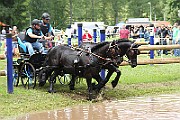 10_Z_IMG_0011
