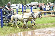 10_Z_IMG_0020