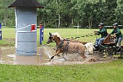 10_Z_IMG_0028