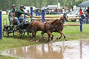 10_Z_IMG_0037