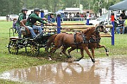 10_Z_IMG_0038