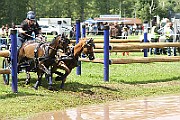10_Z_IMG_0071