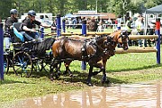 10_Z_IMG_0075