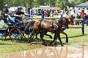 10_Z_IMG_0076