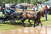 10_Z_IMG_0077