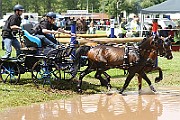 10_Z_IMG_0078