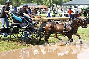 10_Z_IMG_0079