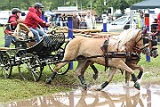 10_Z_IMG_0104