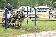 10_Z_IMG_0123