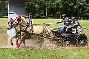10_Z_IMG_0161