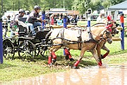 10_Z_IMG_0167