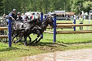 10_Z_IMG_0172