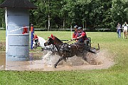 10_Z_IMG_0186