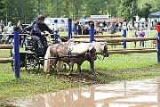 10_Z_IMG_0200