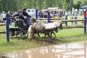 10_Z_IMG_0201