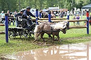 10_Z_IMG_0202