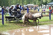 10_Z_IMG_0203