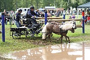 10_Z_IMG_0204