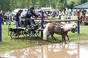10_Z_IMG_0205