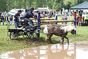 10_Z_IMG_0206