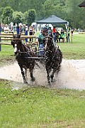 10_Z_IMG_0224
