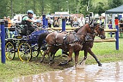 10_Z_IMG_0231