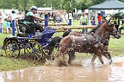 10_Z_IMG_0233