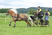 14_IMG_0002