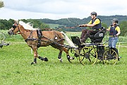 14_IMG_0003