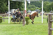 14_IMG_0006