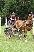 14_IMG_0008