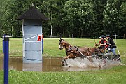 14_IMG_0014