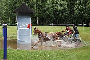 14_IMG_0015