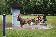 14_IMG_0016