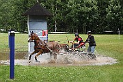 14_IMG_0017