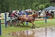 14_IMG_0019