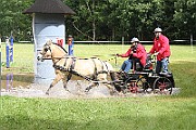 14_IMG_0029