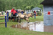 14_IMG_0036
