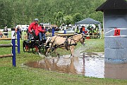 14_IMG_0037