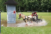 14_IMG_0049
