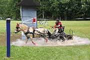 14_IMG_0052