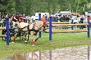 14_IMG_0053